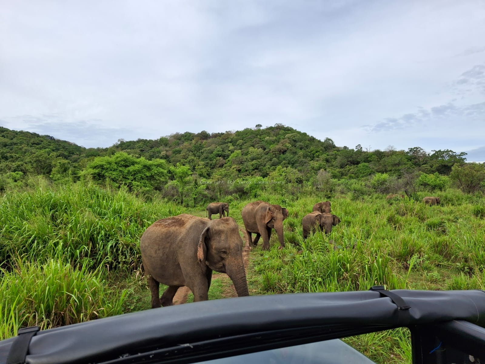 Sri Lanka tour photo