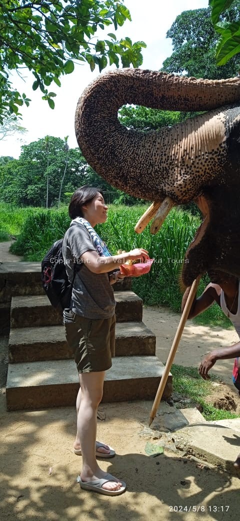Sri Lanka tour photo